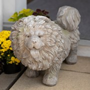 Zaer LTD. International Pre-Order: Magnesium Chow Chow Statue "The Duchess" ZR639850