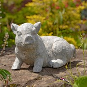 Zaer Ltd International Small Magnesium Piglet Statue "Clover" ZR139520