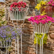 Zaer Ltd. International Set of 3 Standing Iron Pedestal Plant Stands in Antique White ZR170743-AW View 3