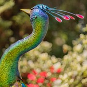 Zaer Ltd. International Set of 2 Large Colorful Peacocks with Jewels "Royal and Sapphire" ZR140242-SET View 3