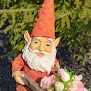 Zaer Ltd. International 17" Tall Spring Gnome Garden Statue with Wheelbarrow ZR244317 View 3