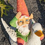 Zaer Ltd. International 23" Tall Spring Gnome Garden Statue Riding a Duck ZR245023 View 3