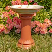 Zaer Ltd. International 15" Tall Porcelain Pedestal Birdbath with Hand Painted Birds in Pinetree "Finch" ZR188163 View 3