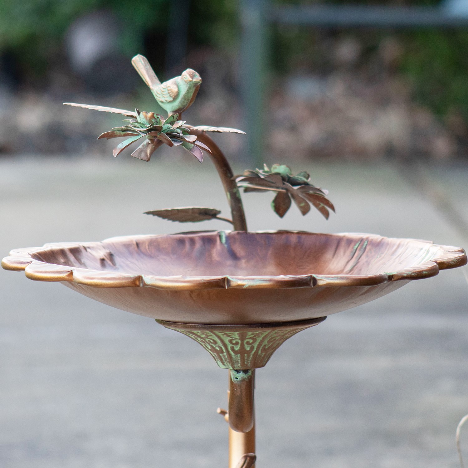 Galvanized Scallop Edge Birdbath with shops Birds