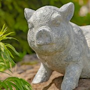 Zaer Ltd International Small Magnesium Piglet Statue "Clover" ZR139520 View 4