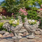 Zaer Ltd International Pre-Order: Set of 2 Magensium Hen and Rooster Planters "Rebel and Red" ZR204060-SET View 4