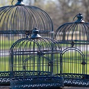 Cobalt Blue Victorian Birdcage Planters (Set of 2) only $415.99 at
