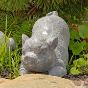 Zaer Ltd International Small Magnesium Piglet Statue "Truffles" ZR139510 View 5