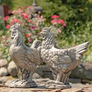 Zaer Ltd International Pre-Order: Set of 2 Magensium Hen and Rooster Planters "Rebel and Red" ZR204060-SET View 5