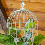 Zaer Ltd. International Pre-Order: Set of 2 Victorian Metal Birdcage Planters in Ant White "London 1820" ZR200525-AW View 5