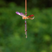 Zaer Ltd. International Three Tone Acrylic Dragonfly Ornaments with Beaded Tassel in 6 Assorted Colors ZR520616 View 6