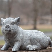 Zaer Ltd International Small Magnesium Piglet Statue "Clover" ZR139520 View 6