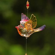 Zaer Ltd. International Five Tone Hanging Acrylic Chickadee Ornament with Diamond Dangle in 6 Asst Color ZR503217 View 6