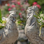 Zaer Ltd International Pre-Order: Set of 2 Magensium Hen and Rooster Planters "Rebel and Red" ZR204060-SET View 6