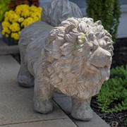 Zaer LTD. International Pre-Order: Magnesium Chow Chow Statue "The Duchess" ZR639850 View 8